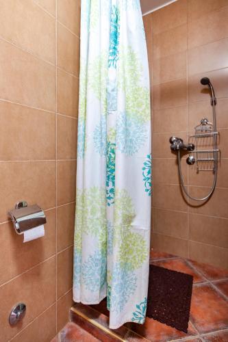 a shower with a shower curtain in a bathroom at Mila & Aleksandr Apartments in Budva