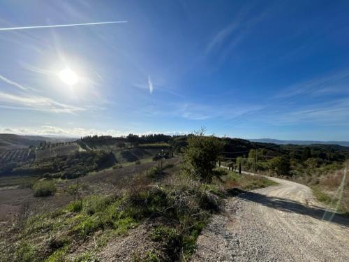 a dirt road on a hill with the sun in the sky at Il Giardino degli Ulivi in Chiusure