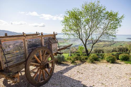 an old wooden cart sitting on top of a hill at Di Colle in Colle - Agriturismo in Passignano sul Trasimeno