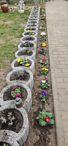 a row of stepping stones with flowers in a garden at Elkras Elbe in Kehnert