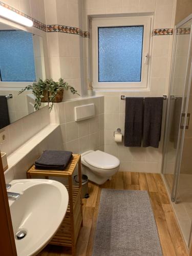 ein Badezimmer mit einem Waschbecken, einem WC und einem Spiegel in der Unterkunft Sonniges Garten-Apartment in ruhiger Parklage in Bad Segeberg
