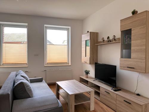 Μια τηλεόραση ή/και κέντρο ψυχαγωγίας στο Vila Bösdorf Apartments