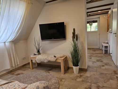 ein Wohnzimmer mit einem Flachbild-TV an der Wand in der Unterkunft Ferienwohnung Carlotta in Freyburg
