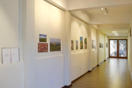 Villa do Poeta – Photos 5