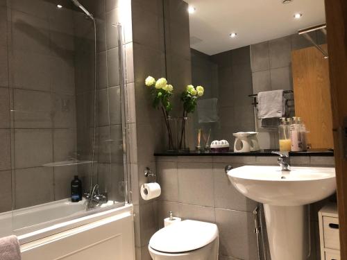 a bathroom with a sink and a toilet and a shower at Luxury 3 Specious Bedrooms Apartment in Edinburgh in Edinburgh