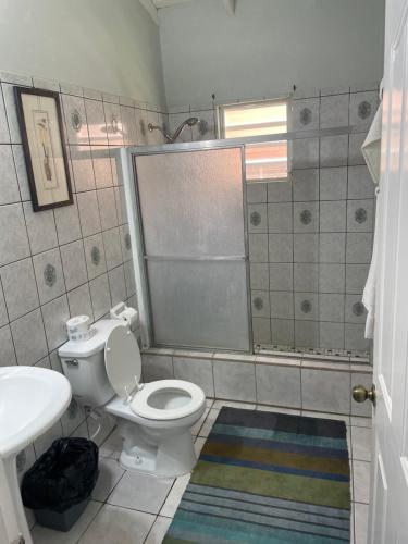 uma casa de banho com um WC, um lavatório e um chuveiro em Mountain view Apartment em Basseterre