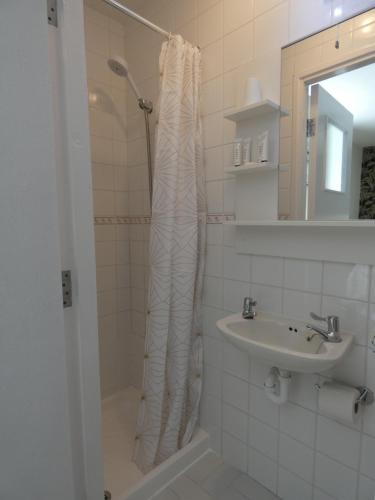 y baño con cortina de ducha y lavamanos. en Rodeen Country House, en Castletownbere