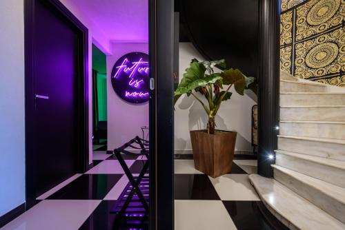 D'amelios Suite 2.0