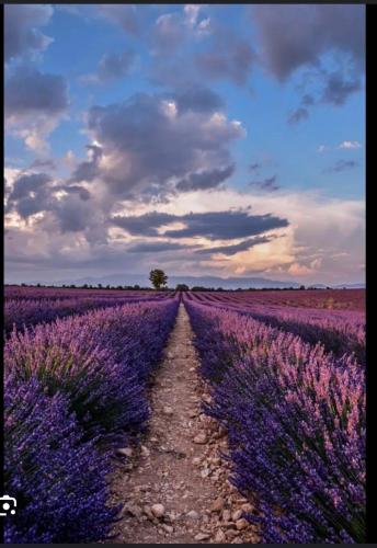 Un paisaje natural cerca de la villa