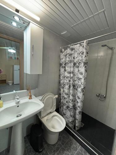 a bathroom with a sink and a toilet and a shower at Jimmy's rooms nea potidea in Nea Potidaea