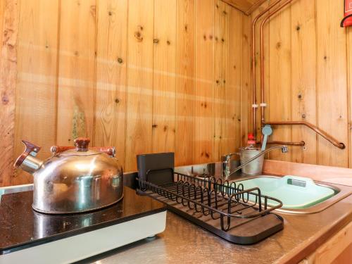 a kitchen with a stove and a tea kettle on a counter at Maquessa Shepherd's Hut in Dumfries