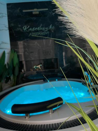 Bazén v ubytovaní Apartament z jacuzzi - Centrum Szczytna Mazury alebo v jeho blízkosti
