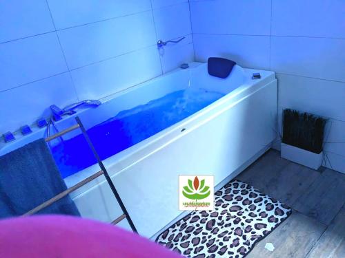 La salle de bains est pourvue d'une baignoire avec un panneau. dans l'établissement Residence Nenuphar, à Abomey-Calavi