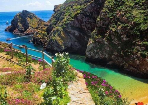 a view of a river with flowers on a cliff at Furnaka Eco Village in Lourinhã