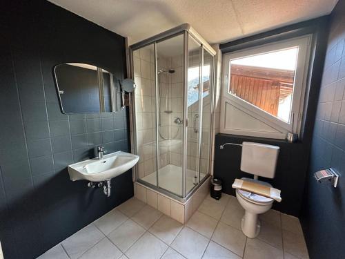 a bathroom with a shower and a sink and a toilet at Schöne FeWo im Allgäu für bis zu 10 Pers. in Bad Hindelang