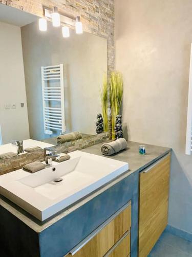 une salle de bain avec un lavabo et un miroir dans l'établissement Marcenac - T2 en Résidence, Clim, Parking, terrasse, à Sète
