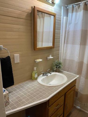 a bathroom with a sink and a mirror and a shower at Pet-Friendly 3BR Near Downtown - Deck - Backyard in Concord