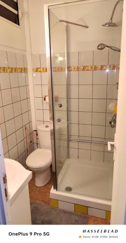 a bathroom with a shower and a toilet at Appartement charmant à Rivière-Pilote - 30 m² avec terrasse in Rivière-Pilote