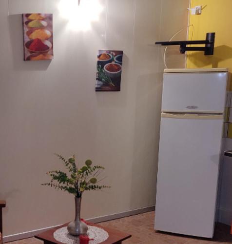 a kitchen with a refrigerator and a plant on a table at Appartement charmant à Rivière-Pilote - 30 m² avec terrasse in Rivière-Pilote