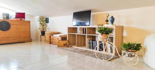 a living room with a tv and a shelf with plants at O' Frechete! in Sulmona