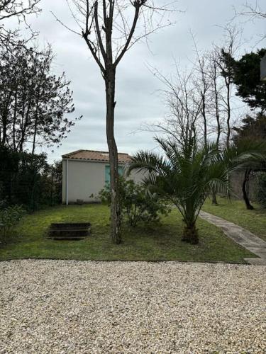 una casa con un árbol y una entrada de grava en Maison 4 personnes face mer, en La Brée-les-Bains