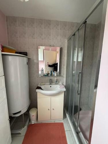 y baño con lavabo y ducha. en Maison 4 personnes face mer en La Brée-les-Bains
