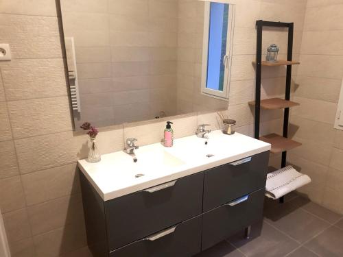 une salle de bain avec un lavabo et un miroir dans l'établissement Appartement spacieux et confortable à Clermont-Dessous, terrasse, à Clermont-Dessous
