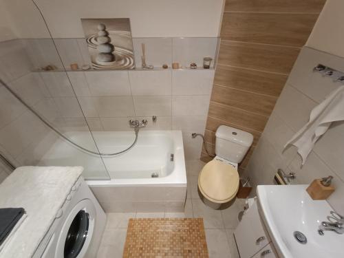 Ένα μπάνιο στο Apartament w Srebrnym Mieście