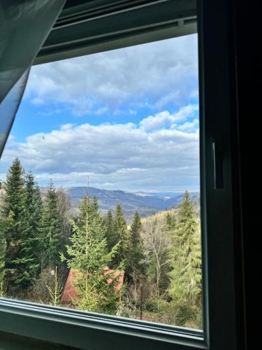 a window view of a forest of trees at Chata Kokava Línia tour 2 in Kokava na Rimavica