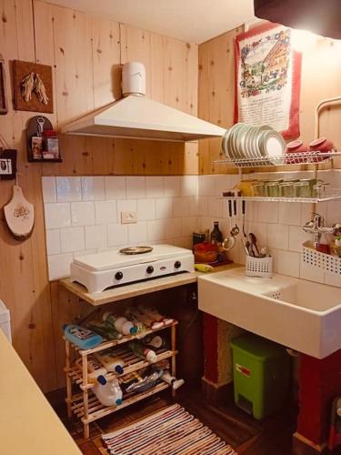 a small kitchen with a stove and a sink at Rifugio del volpacchiotto - Piano Battaglia in Petralia Sottana