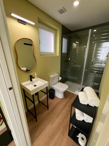 La salle de bains est pourvue de toilettes, d'un lavabo et d'une douche. dans l'établissement Primeiro Quartel Apartments - 2, à Peso da Régua