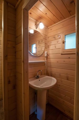 a bathroom with a sink and a mirror at Domaine de Maples in Dore-lʼÉglise