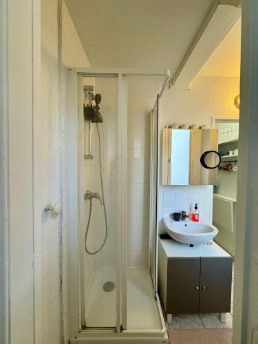 a bathroom with a shower and a sink at Paris - Appartement 50m2 - Tour Eiffel in Paris