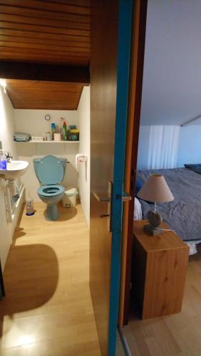 Habitación con baño con aseo y cama. en Duo Pradère avec piscine en Virazeil