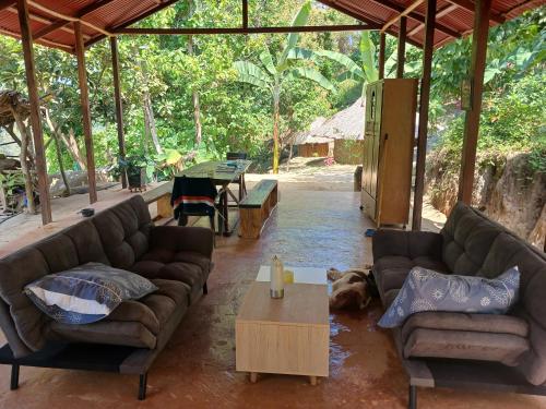 a living room with couches and a dog laying on the ground at Private waterfall and indigenous house! in Minca