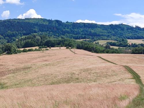 an open field of grass with a mountain in the background at Apartmán Bobo in Stožok