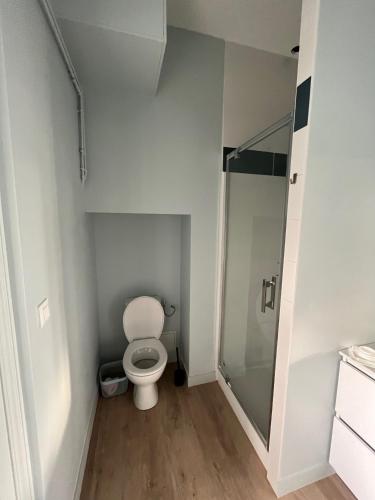 La salle de bains est pourvue de toilettes et d'une douche à l'italienne. dans l'établissement Appartement calme et lumineux, à Boulogne-sur-Mer