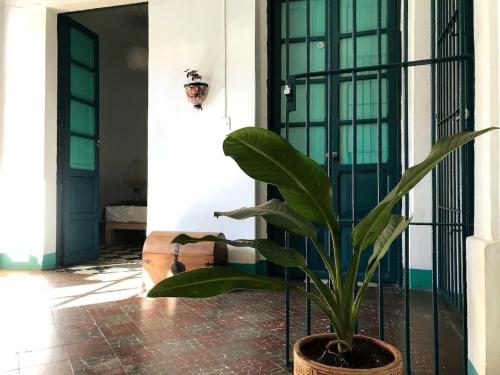 Imagine din galeria proprietății 4.Guadalajara, corazón del centro historico. în Guadalajara