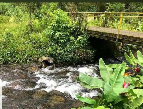 un río con un puente en medio de un bosque en Casa de campo en el bosque de Mindo, junto al río, en Mindo