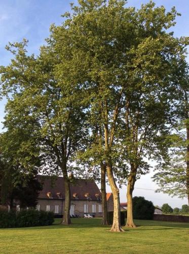 un groupe d'arbres dans un champ devant une maison dans l'établissement Grande maison de caractère avec Piscine, à Volesvres