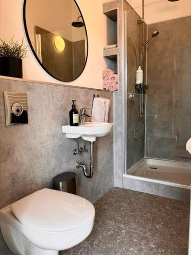 a bathroom with a toilet and a sink and a mirror at Selfoss Center apartment in Selfoss