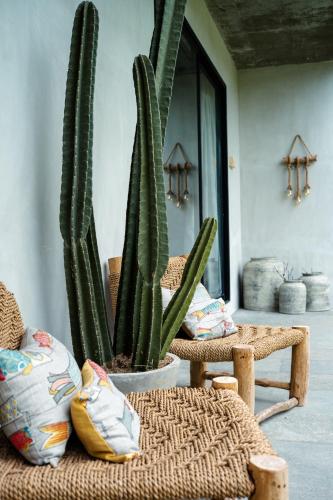 a cactus in a pot next to a chair and a table at Hatiku Di Bali - Ubud in Tegalalang