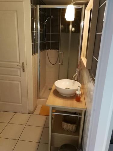 une salle de bain avec un lavabo et une douche dans l'établissement L'Atelier en Cévennes - Logement 55m2, à Deaux