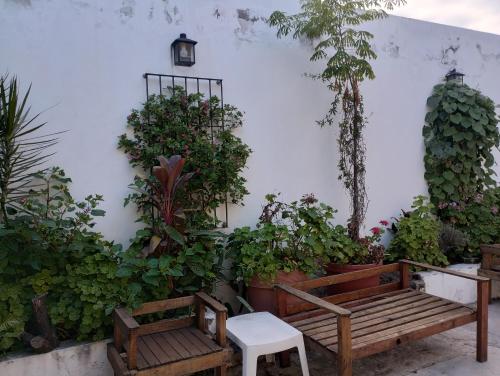 einen Garten mit Bänken und Pflanzen und einer Wand in der Unterkunft Casa del Arte in Salta