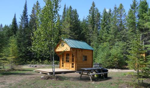 a tiny house with a picnic table and a grill at Deer Meadow #1 in Maynooth