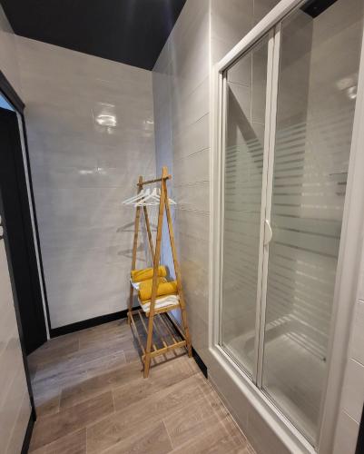 La salle de bains est pourvue d'une douche et d'une échelle en bois. dans l'établissement Chez lolo Cosy et chaleureux, à Vichy