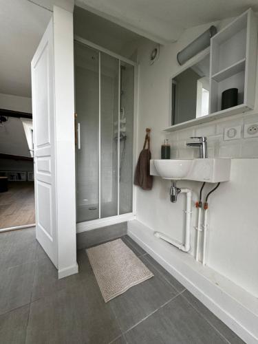 une salle de bain avec un lavabo et une douche dans l'établissement Sweet Saint-Pierre, à Saint-Germain-en-Laye
