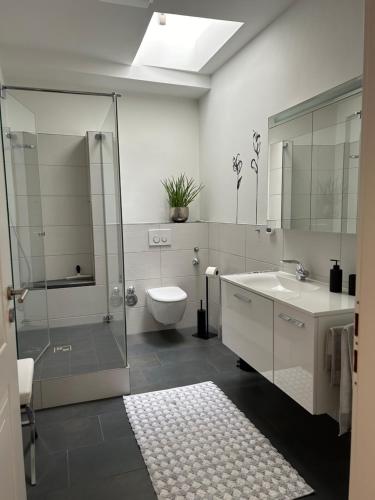 La salle de bains est pourvue d'une douche, de toilettes et d'un lavabo. dans l'établissement Alta Villa - Ferienwohnung, à Eltville