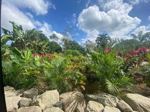 a garden of flowers and plants with rocks at Villa Tanager in Fortuna