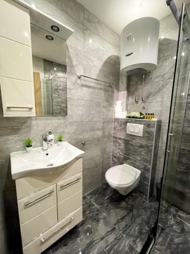 een badkamer met toilet, wastafel en douche bij Apartman Ceca Pale in Pale